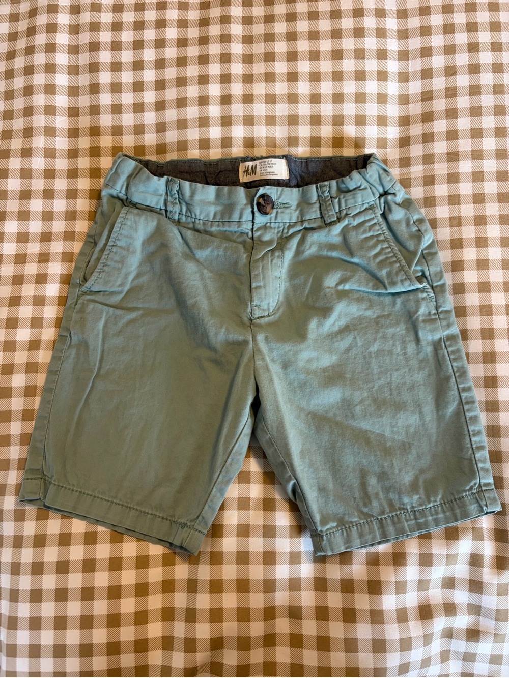 H&M Men's Mint Green Flat Front Shorts